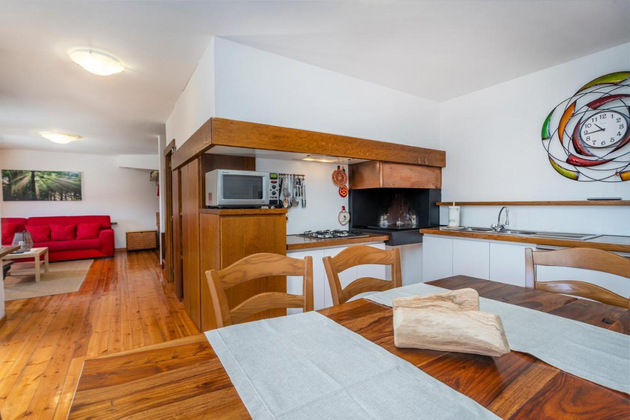 LigosulloPanoramic House Carnia - Mountain View Apt With Parking And Terraces别墅 外观 照片